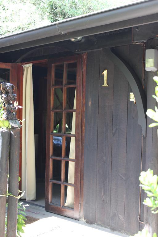 Bush Baby Forest Lodge Knysna Exterior foto
