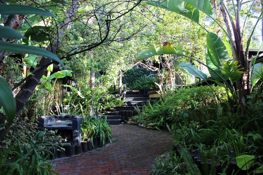 Bush Baby Forest Lodge Knysna Exterior foto
