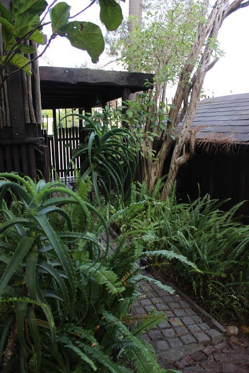 Bush Baby Forest Lodge Knysna Exterior foto
