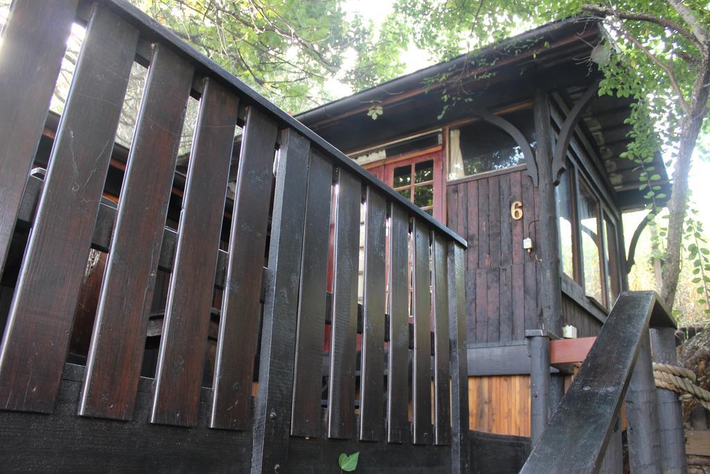 Bush Baby Forest Lodge Knysna Exterior foto