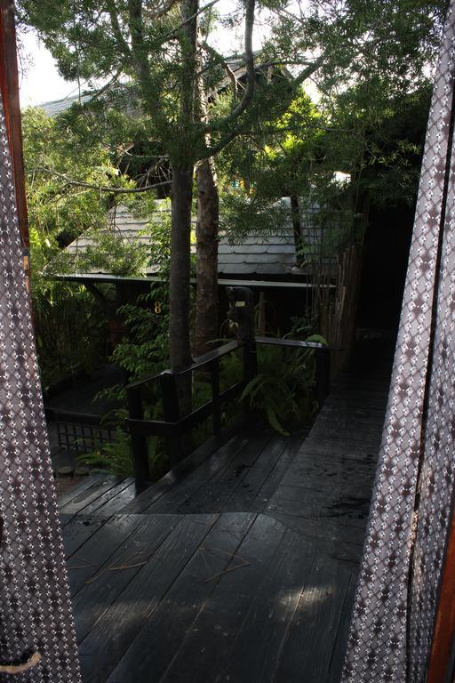 Bush Baby Forest Lodge Knysna Exterior foto