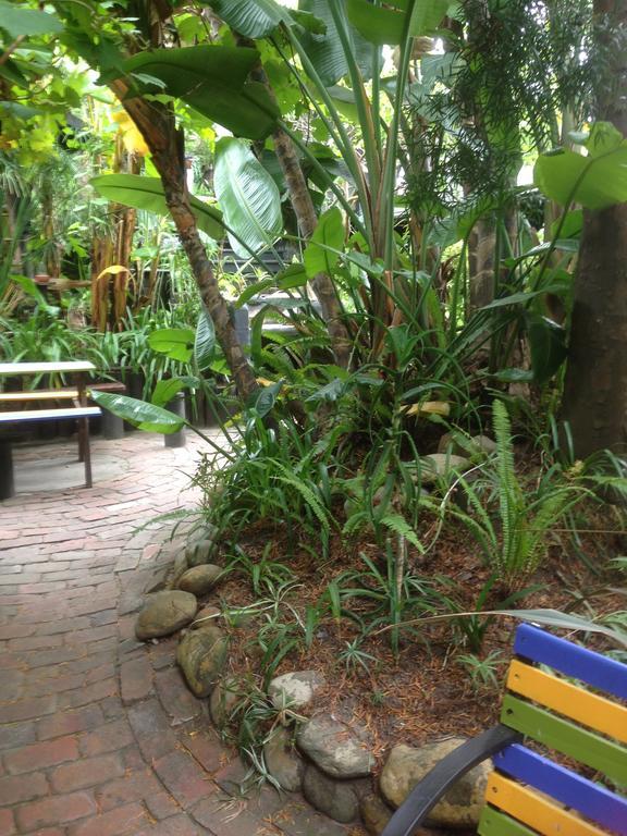Bush Baby Forest Lodge Knysna Exterior foto