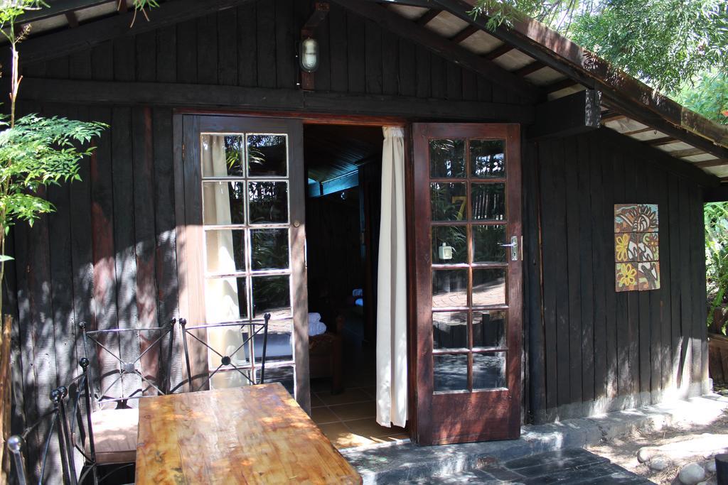 Bush Baby Forest Lodge Knysna Exterior foto
