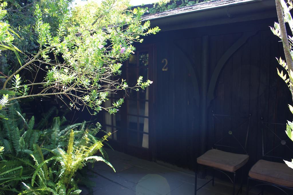 Bush Baby Forest Lodge Knysna Exterior foto