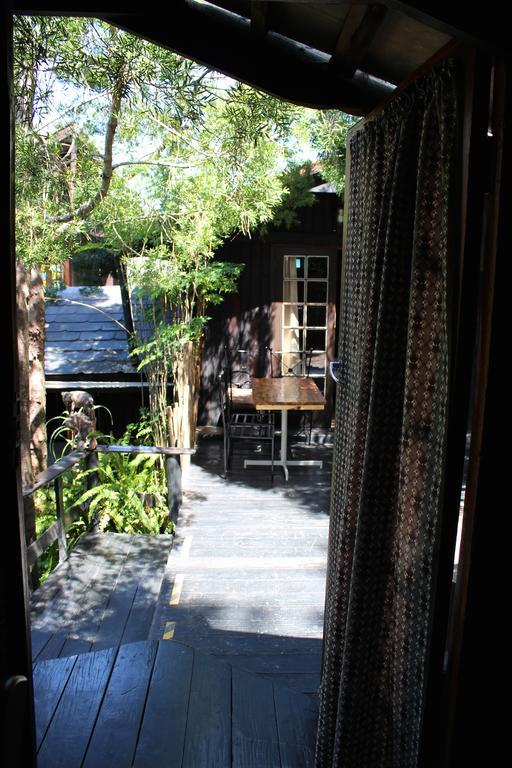 Bush Baby Forest Lodge Knysna Exterior foto