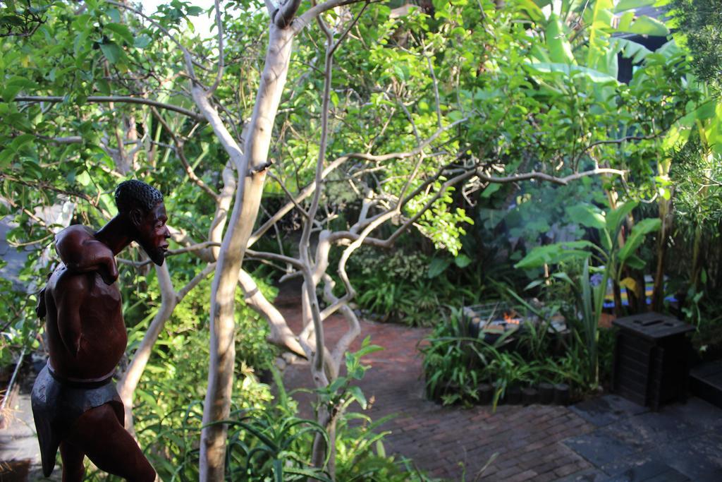 Bush Baby Forest Lodge Knysna Exterior foto