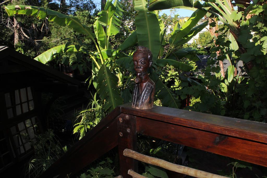 Bush Baby Forest Lodge Knysna Exterior foto