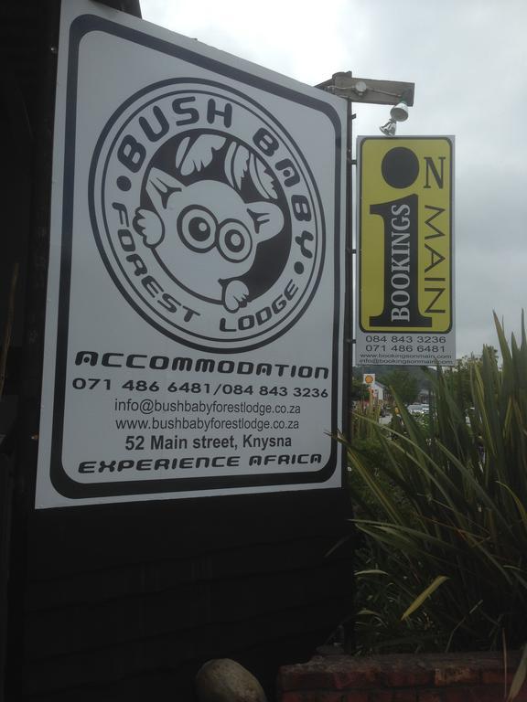 Bush Baby Forest Lodge Knysna Exterior foto