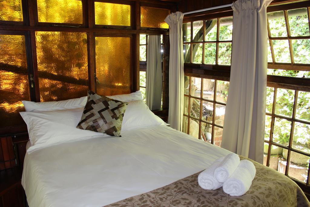 Bush Baby Forest Lodge Knysna Exterior foto