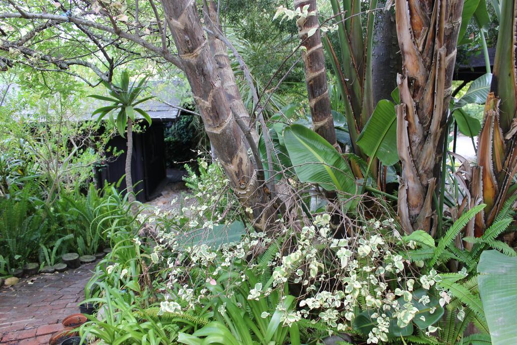 Bush Baby Forest Lodge Knysna Exterior foto